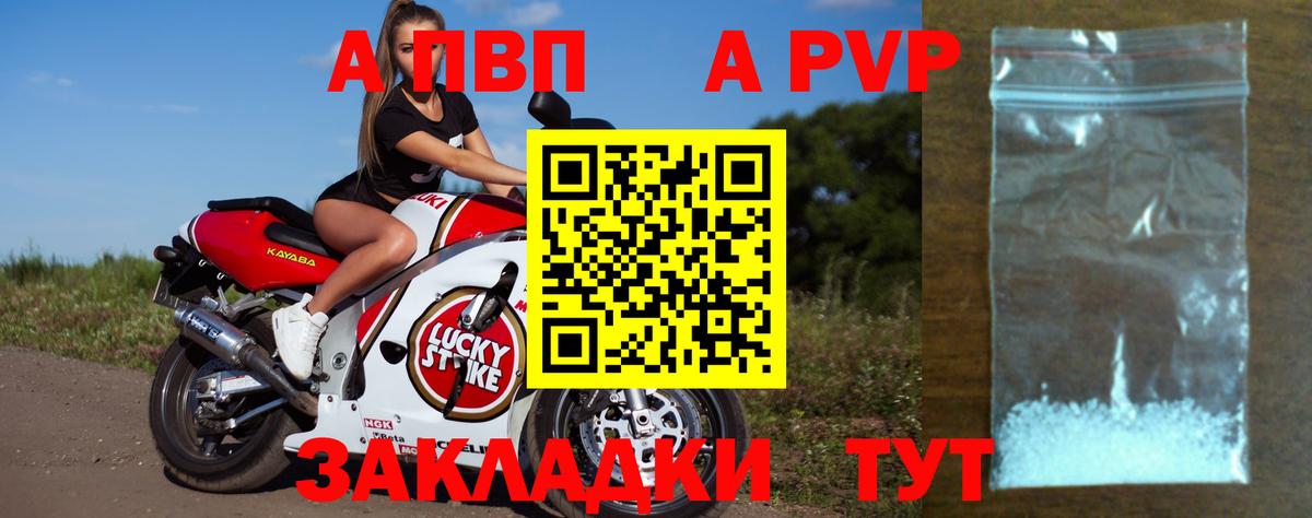 A PVP СК Пушкино