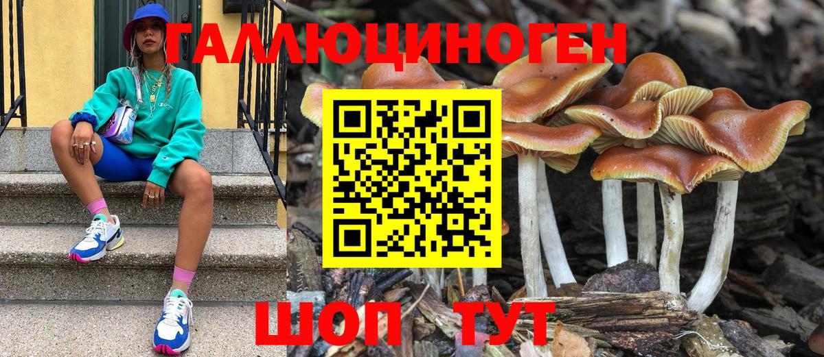 Галлюциногенные грибы GOLDEN TEACHER Пушкино