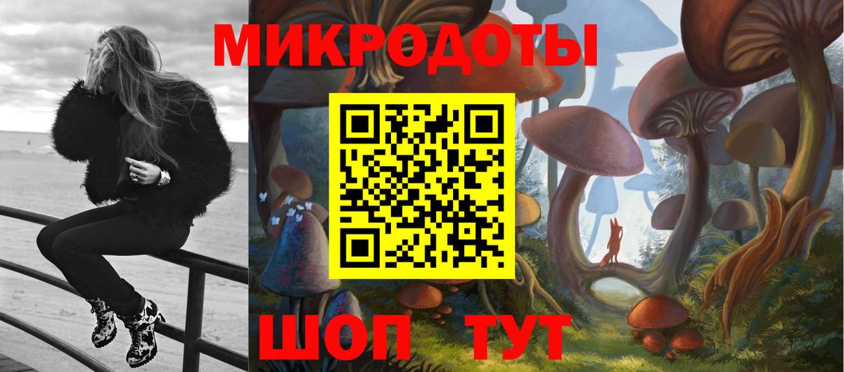 Псилоцибиновые грибы Psilocybe  Вход с VPN  Пушкино 